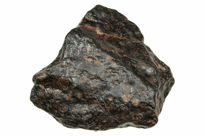 Carbonaceous Chondrite Meteorite ( g) - NWA #334338